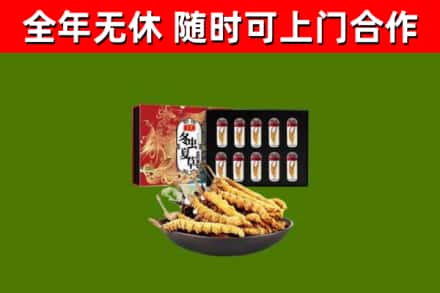 南城街烟酒回收冬虫夏草礼盒.jpg